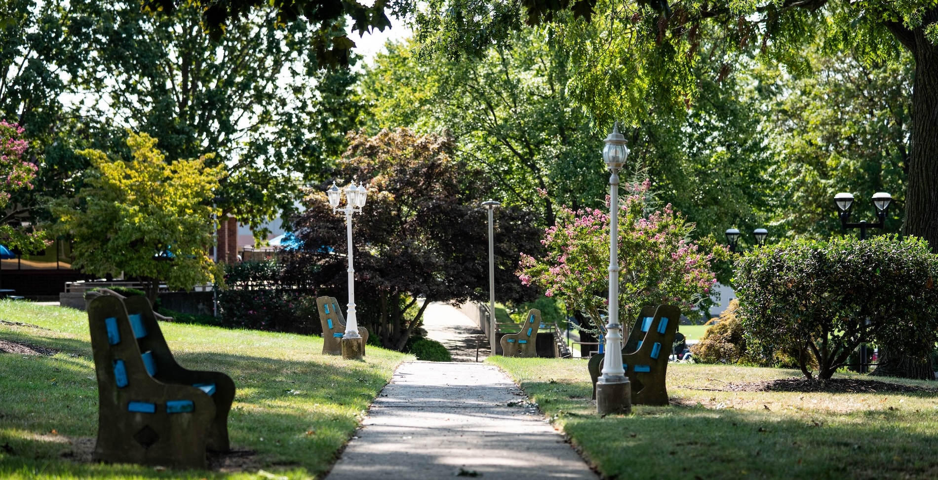 Tree lined path on Holy Family's campus