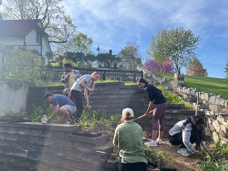 HFU volunteers cleaning up a plot of land and planting new trees