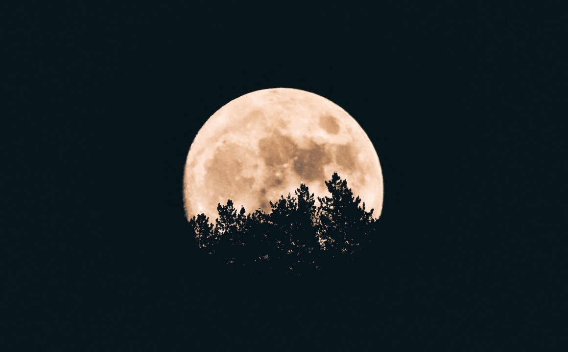 A full moon at night peeking through trees