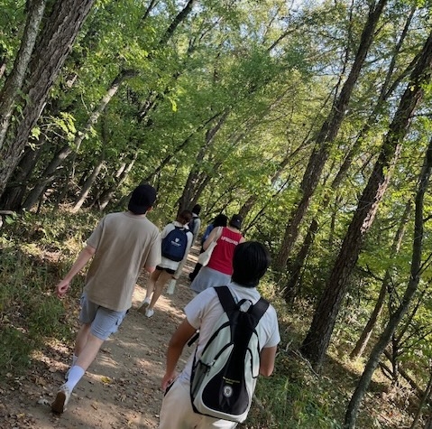 HFU students hiking in the woods